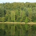 Le Ninfe dei Laghi hanno gli occhi verdi