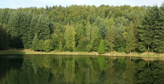 Le Ninfe dei Laghi hanno gli occhi verdi