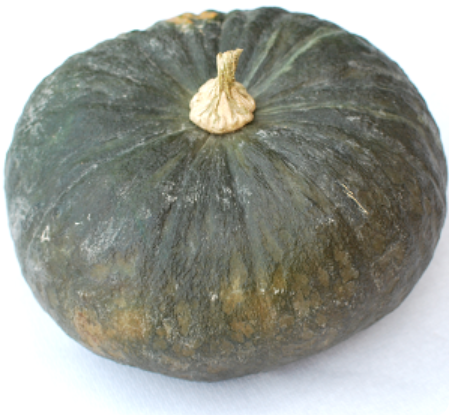 La zucca Delica non porta gli occhiali